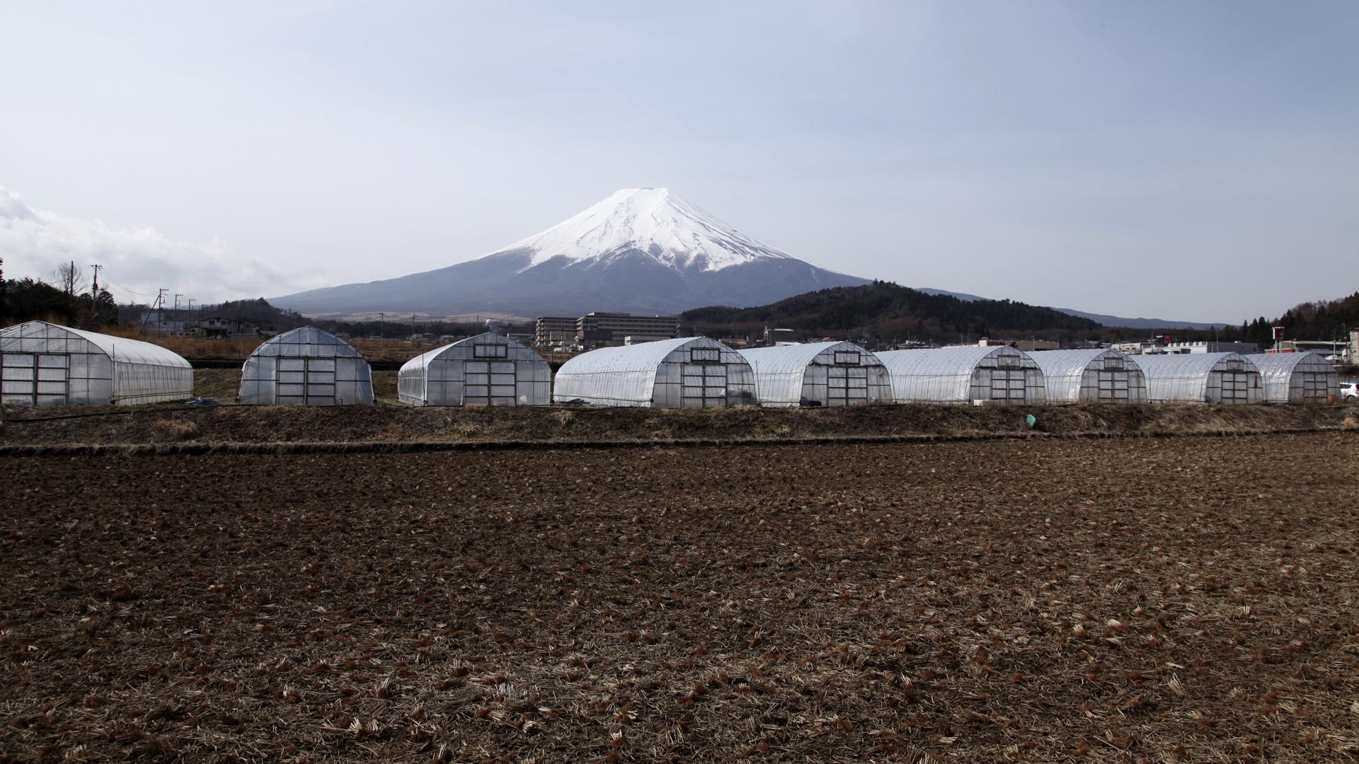 Mount Fuji 36 Views Revisited