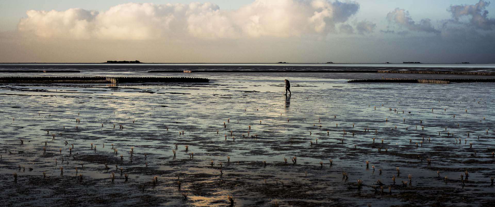 Silence of the Tides